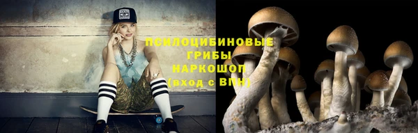 дурь Алзамай