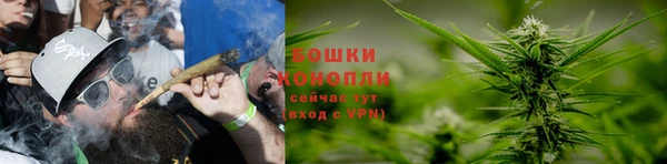 PSILOCYBIN Алексин