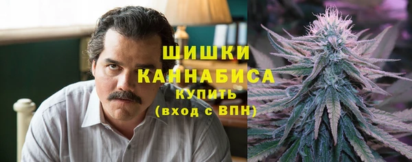 кристаллы Болотное