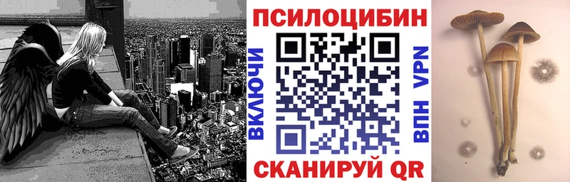 где можно купить наркотик Добрянка Галлюциногенные грибы Cubensis
