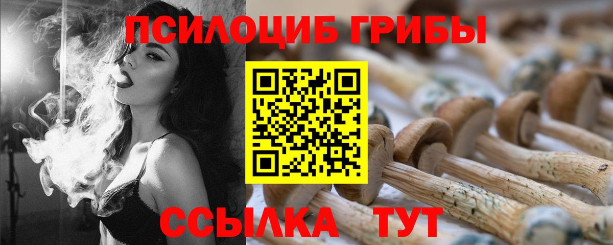 Галлюциногенные грибы Cubensis Добрянка